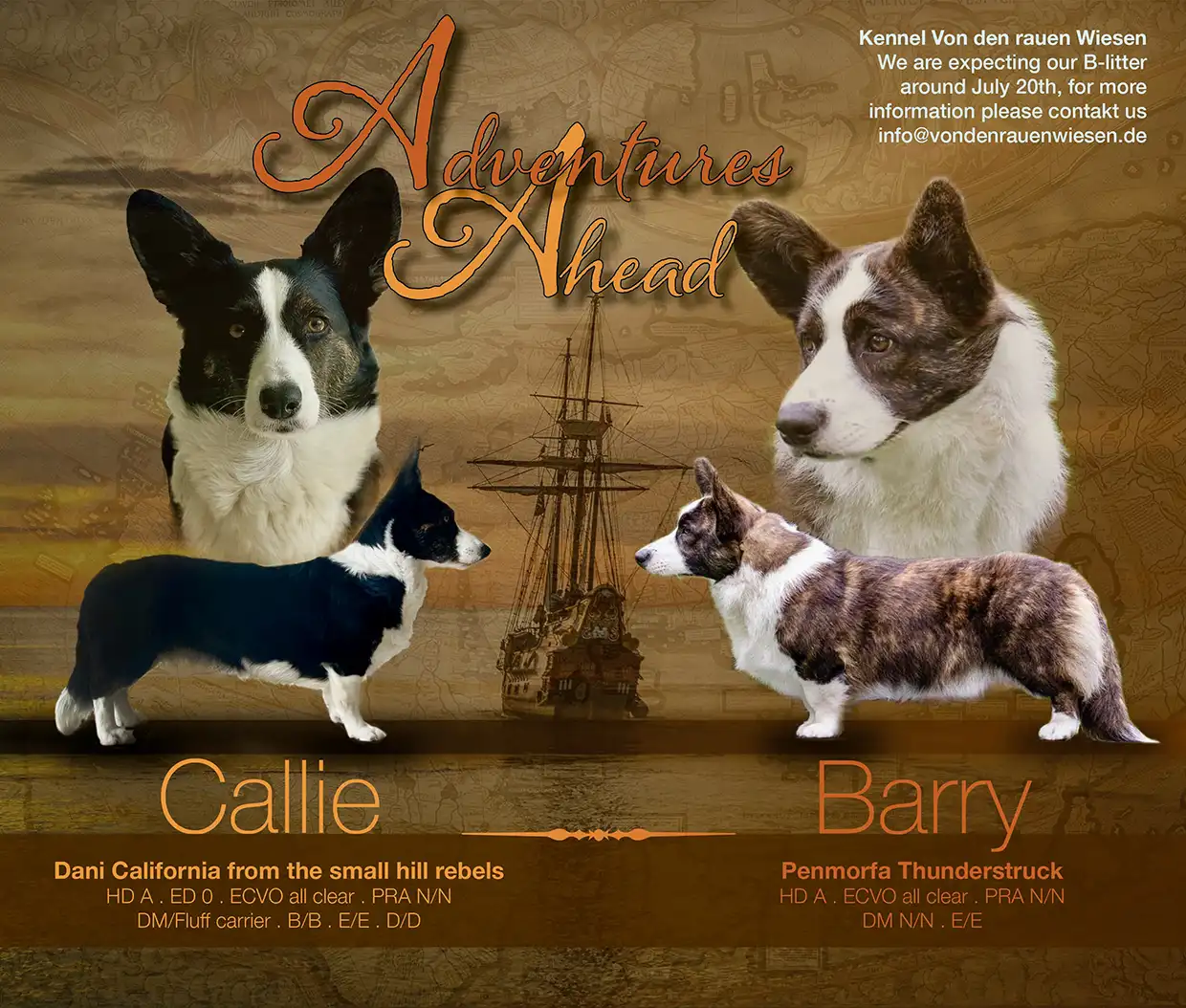 Callie - Barry
